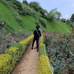 Gold Garden - Ooty