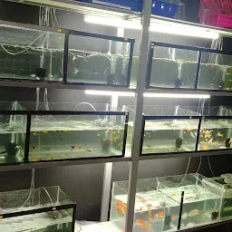 Golden Aquarium & pets
