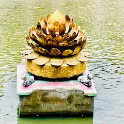 Golden Lotus Pond