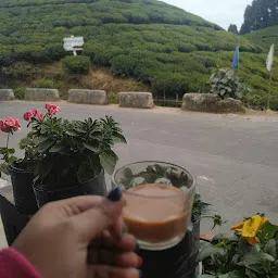 Gopaldhara Darjeeling Tea Shop