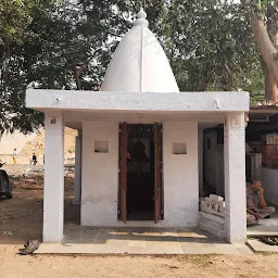 Gopinathnagar Society (Goga Maharaj Temple)