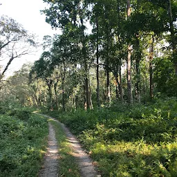 Gorumara National Park