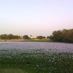 Gotri Lake (Gotri Talav)