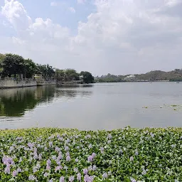 Goverdhan Sagar Lake