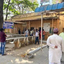 Governament Rabies Clinic Center Hospital