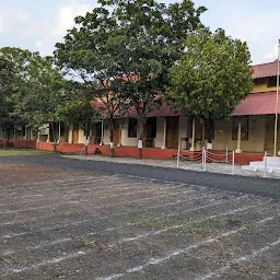 Government D. Ed. College