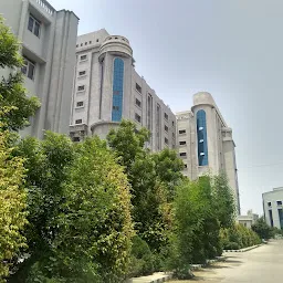 Government Degree College