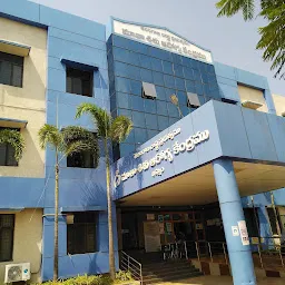 Government Hospital