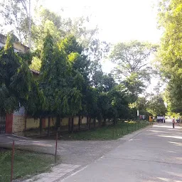 Government Polytechnic Moradabad