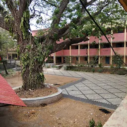 Government Sanskrit College