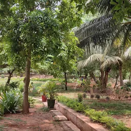 Government TB and Chest Hospital