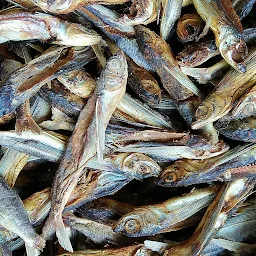 Govinda Raj, Dry Fish Market