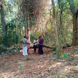 Govt. Ayurveda College Botanic Garden