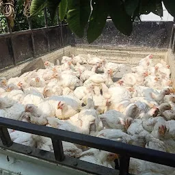 Govt. Duck & Poultry Farm, Joysagar Sivsagar