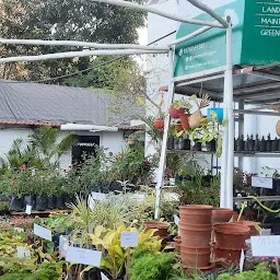 Green Earth Plant Boutique | Nursery in Nagpur