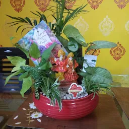 Green Gifts Nagpur by Friends Nursery