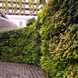 Green Wall & Vertical Garden Maker (OxyWall)
