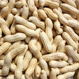 GroundNuts store