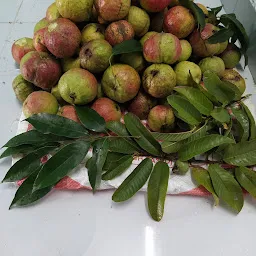 Guava tree cafe