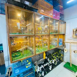 Guli Guli Pet shop