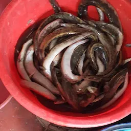 Guntur fish market