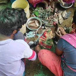 Guntur fish market