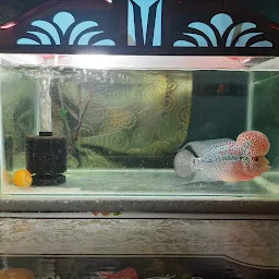 Guransh aquarium