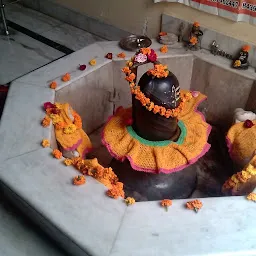 Shree Radha Krishna Guruyani Ji Temple