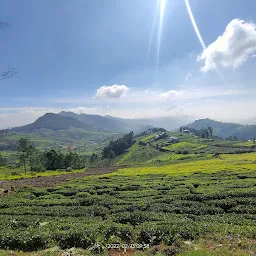 Guzel Valley