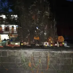 Hadimba Devi Temple Parking