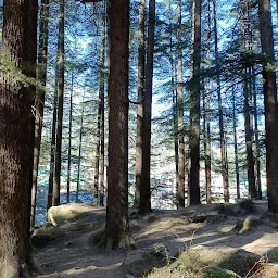 Hadimba Himachal Park