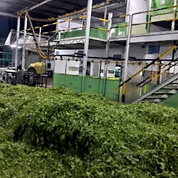 Halmari Tea Estate