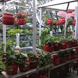 Hanging Garden