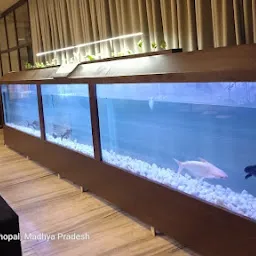 HappiFish - Smart Aquarium System
