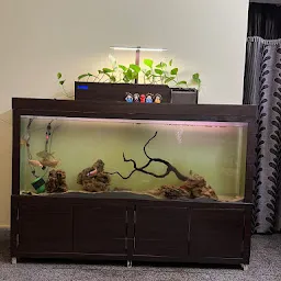 HappiFish - Smart Aquarium System