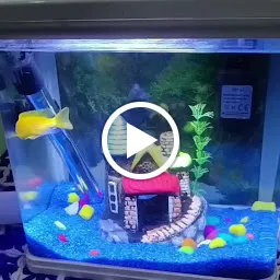 Happytails pet shop 2.0