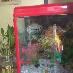 Haripriya Fish Aquarium & Pets Shop