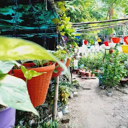 Hariyali Nursery