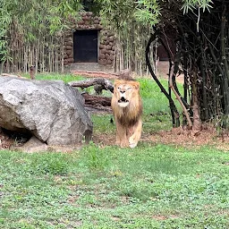Haroon’s Mysore Zoo Rest Point