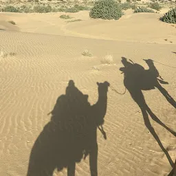 Hashim Camel Safari Jaisalmer