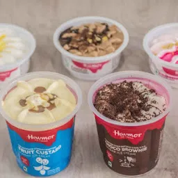 Havmor Ice Cream (Sree Lakshmi Ganapathi Ice Cream Parlour and Xerox)