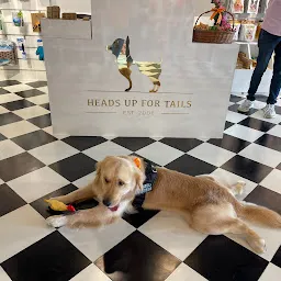 Heads Up for Tails Pet Store & Spa