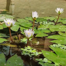 Henzienigma Meditation Garden