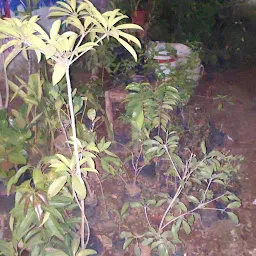 HERBAL GARDEN AAI