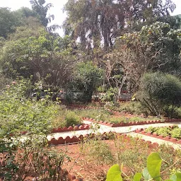 Herbal Garden CRIUM