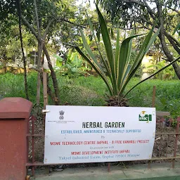 Herbal Garden Estd by MSME-TC Imphal