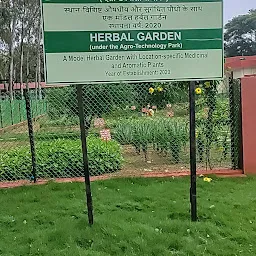 Herbal Garden, ICAR NAARM