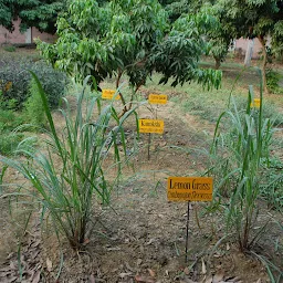 Herbal garden ICAR-RCER