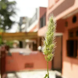 Herbal Nutrition Centre
