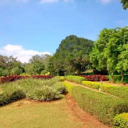 Herbal Park